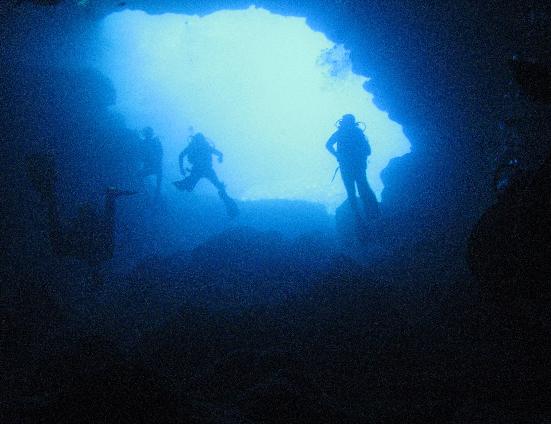 diving in malta