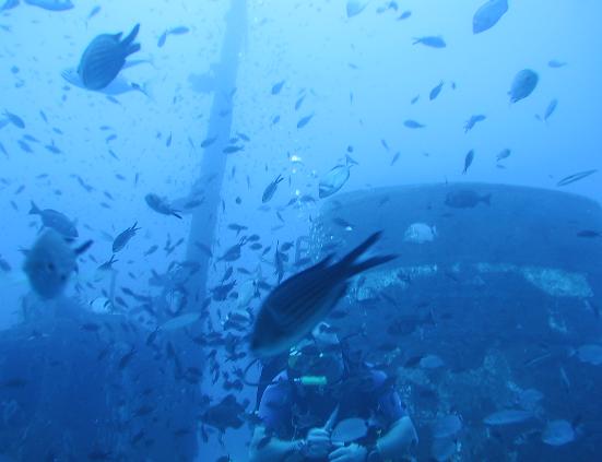 malta diving