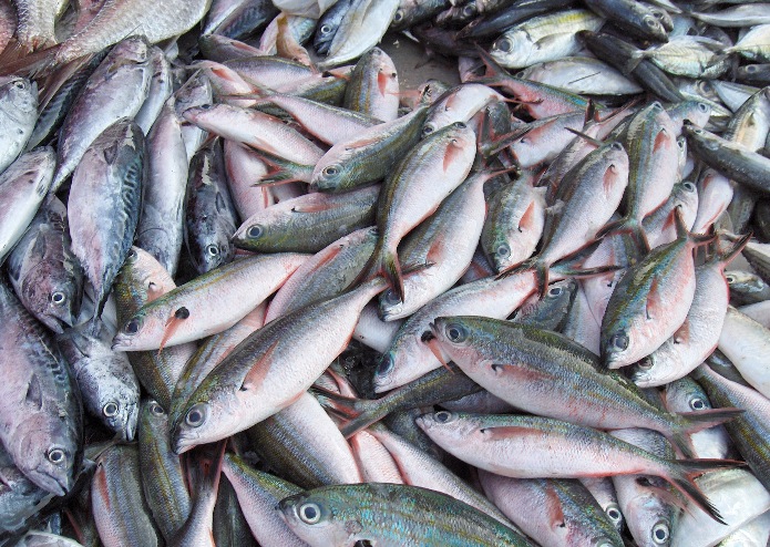 Marsaxlokk Fish Market Malta